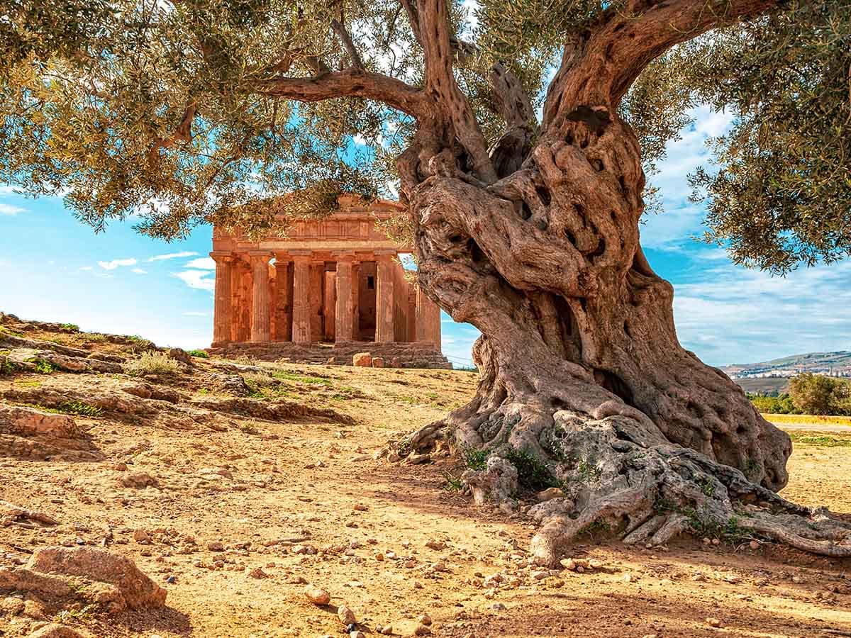 SİCİLYA. ANTONİNA ile Etna’nın Gölgesinde - 1
