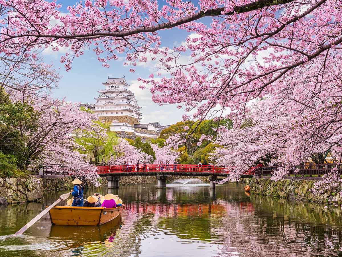 SAKURA ZAMANI JAPONYA - KUTUP YILDIZI - 3
