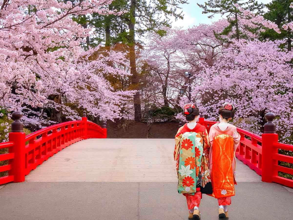 SAKURA ZAMANI JAPONYA - 4