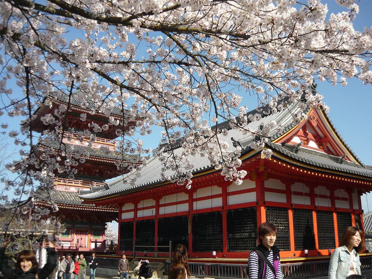 SAKURA ZAMANI JAPONYA - BUSINESS - 6