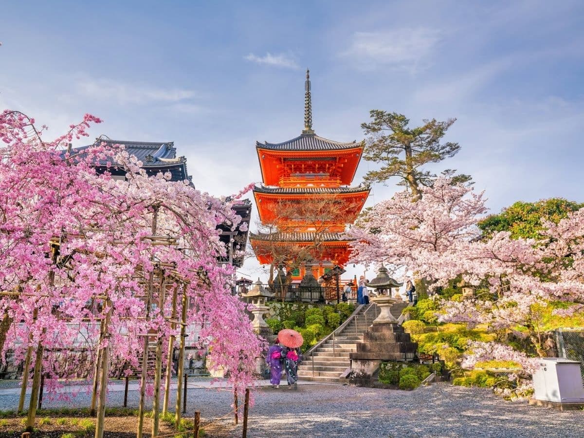 JAPONYA - 14