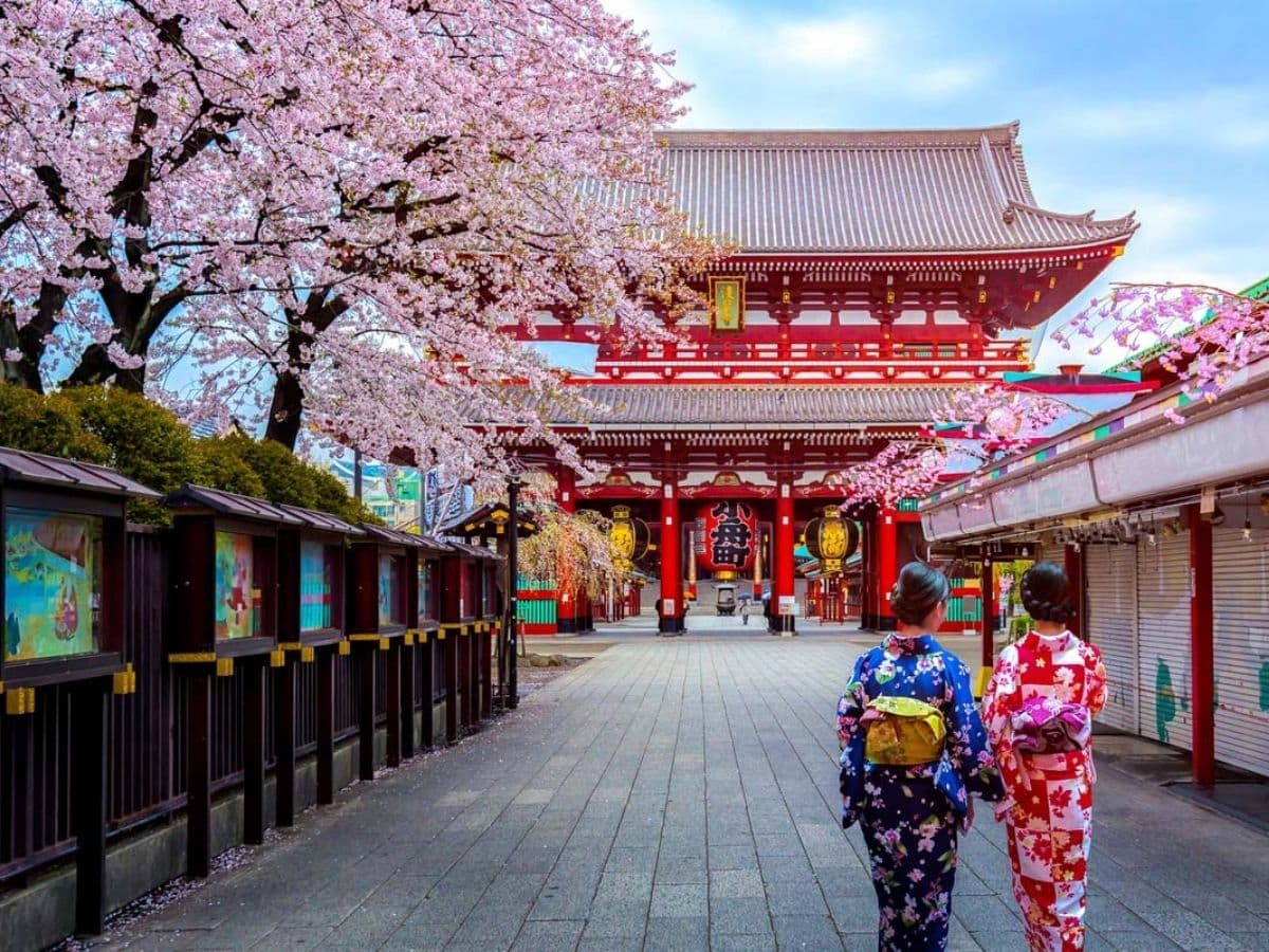 JAPONYA - BUSİNESS - 15