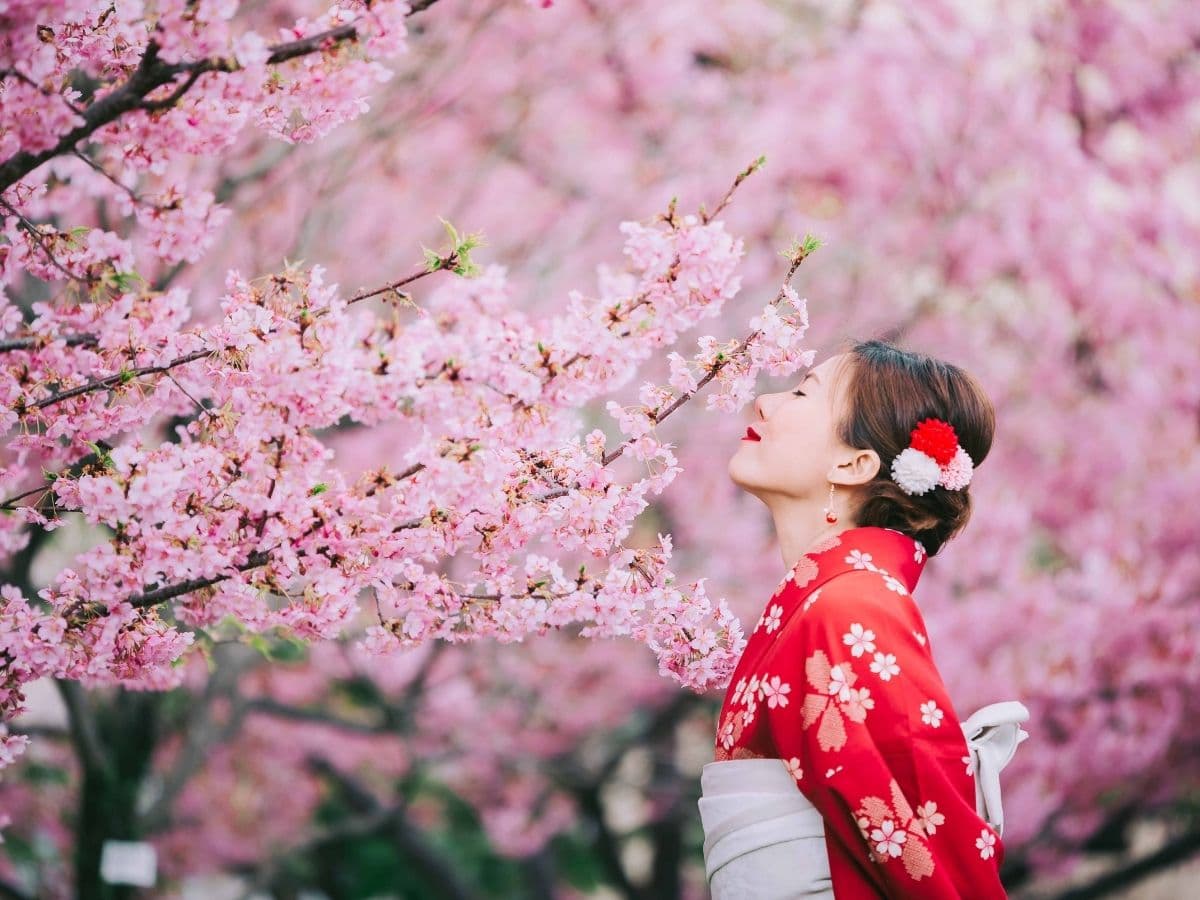 JAPONYA - 13