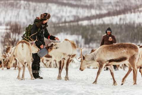 BAYRAMDA MURMANSK - 3