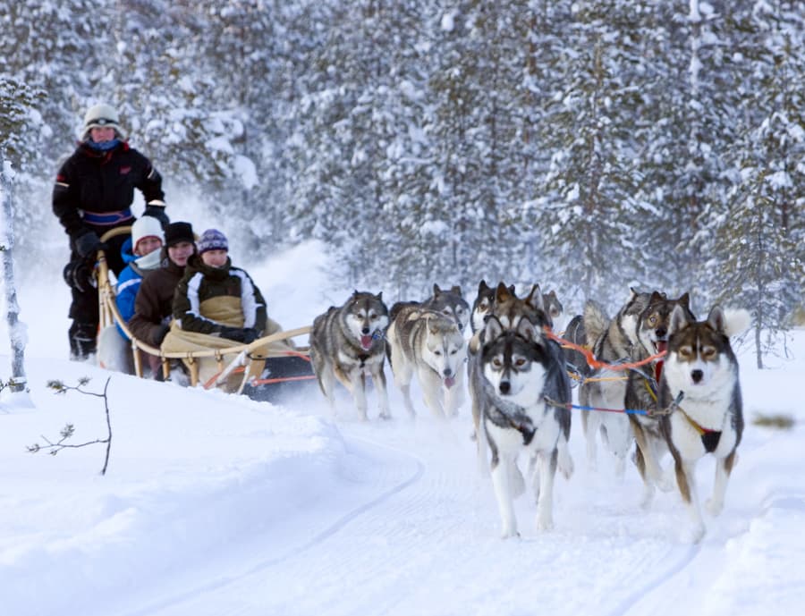 BAYRAMDA MURMANSK - 13