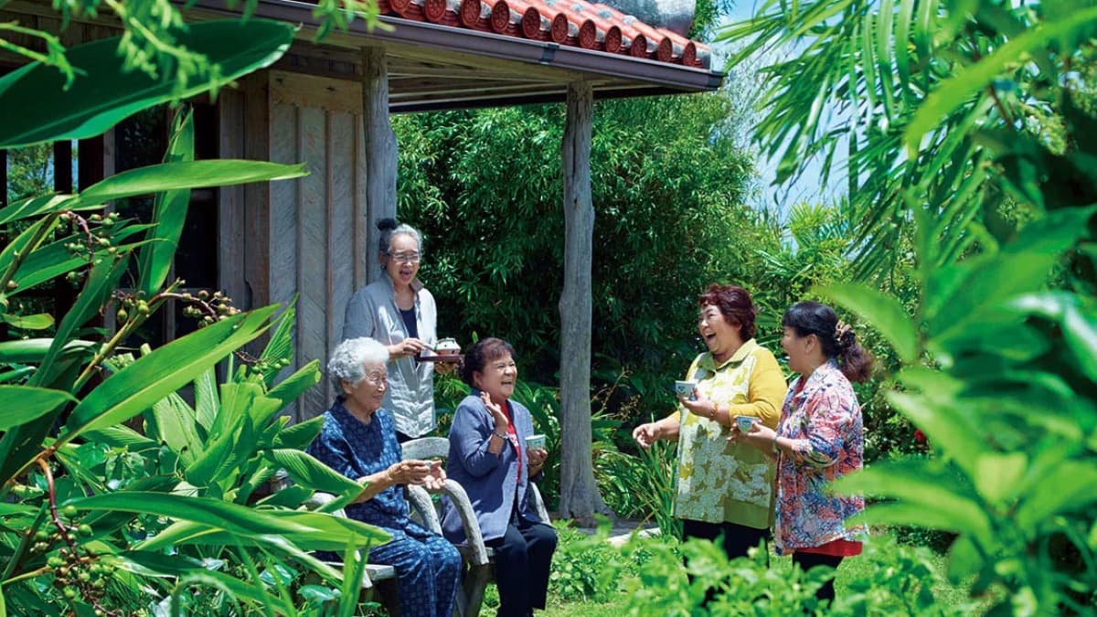 OKINAWA - 2