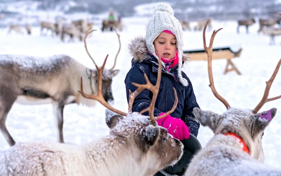 BAYRAMDA MURMANSK - 7