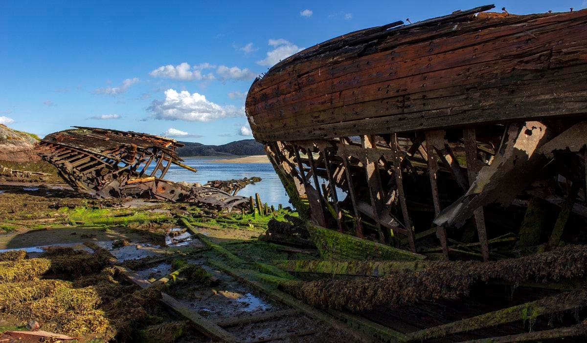 BAYRAMDA MURMANSK - 20
